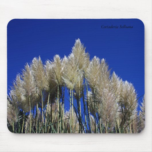 Pampas Grass Mousmat Muismat (Voorkant)