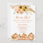 Pampas Grass Rust Sinaasappel Pompoen Geslacht Ont Kaart (Voorkant)