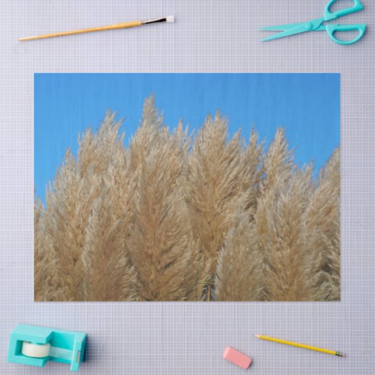 Pampas Grass Tissue Paper Tissuepapier (Craft)