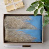 Pampas Grass Tissue Paper Tissuepapier (Geschenk)