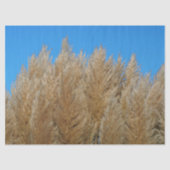 Pampas Grass Tissue Paper Tissuepapier (Voorkant)