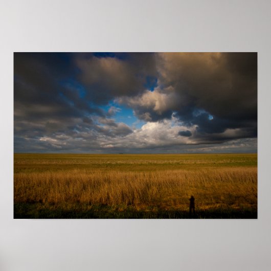 Pampas Poster (Voorkant)