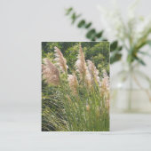 Pampasgras Briefkaart (Staand voorkant)