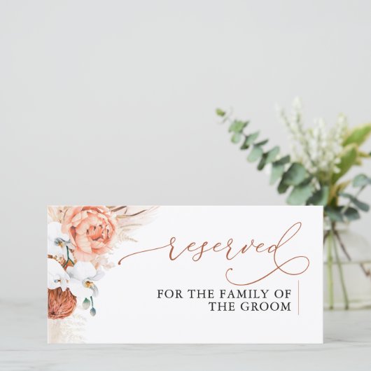 Pampasgras Terracotta Bloemachtige Trouw Gereserve (Staand voorkant)