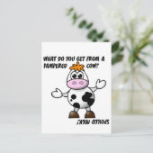 Pampered Koe Joke Briefkaart (Staand voorkant)