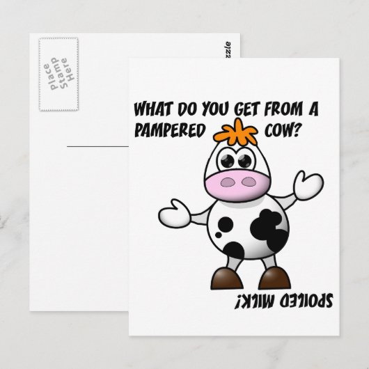 Pampered Koe Joke Briefkaart (Voorkant / Achterkant)