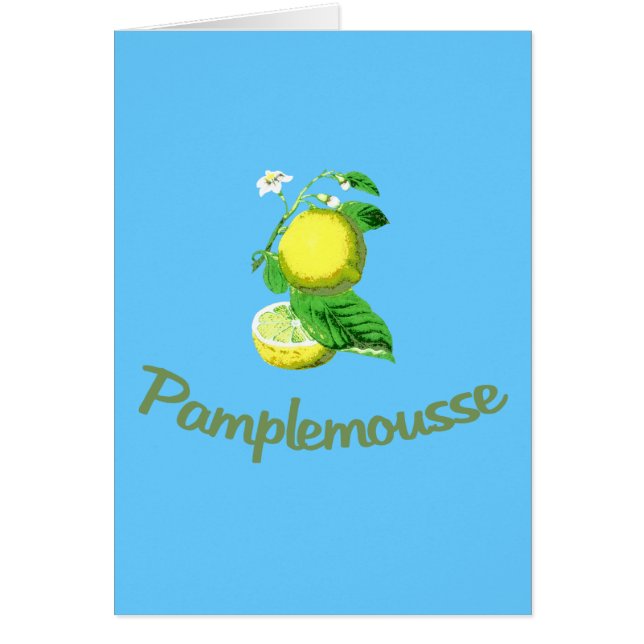 Pamplemousse French for Grapefruit (Voorkant)