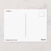 Pamplona Spain Running the Bulls Briefkaart (Achterkant)