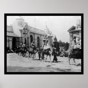 Pan Am Expo Camel Parade 1901 Poster