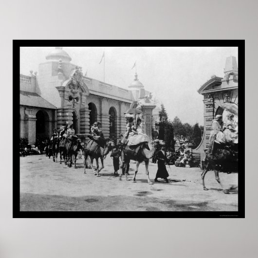 Pan Am Expo Camel Parade 1901 Poster (Voorkant)