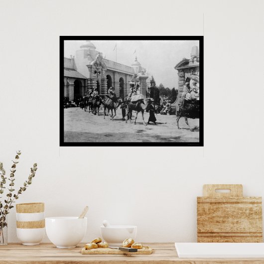 Pan Am Expo Camel Parade 1901 Poster (Keuken)