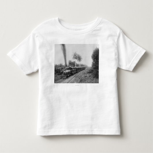 Pan American Central Railroad in Guatemala Kinder Shirts (Voorkant)