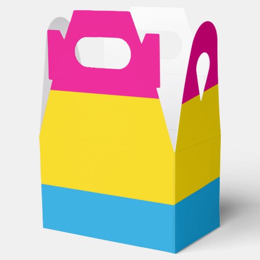 Pan Flag Bedankdoosjes (Geopend)