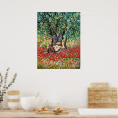 PAN-, OLIJFOLIE- EN POPPERVELS POSTER (Keuken)