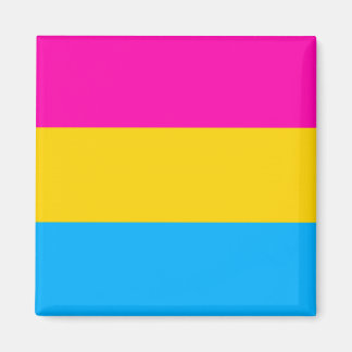 Pan pride vlag magneet