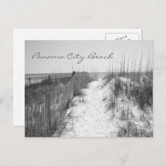 Panama City Beach Access Black & White Briefkaart (Voorkant / Achterkant)