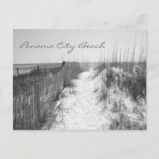 Panama City Beach Access Black & White Briefkaart (Voorkant)