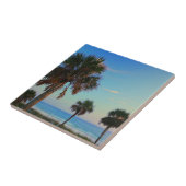 Panama City Beach, Florida palm bomen Tegeltje (Zijkant)