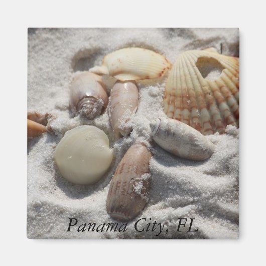 Panama City Magneet (Voorkant)