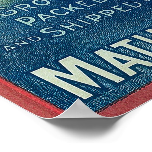 Panama Pacific Apple Crate Label Poster (Hoek)