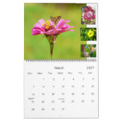 PANAMA POSTALS CALENDAR 2010 KALENDER (Mar 2027)