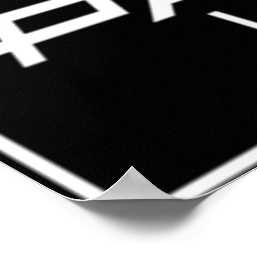 Panavision Poster (Hoek)