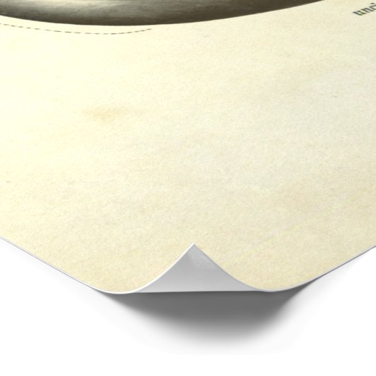  pancreas voor menselijke anatomie poster (Hoek)