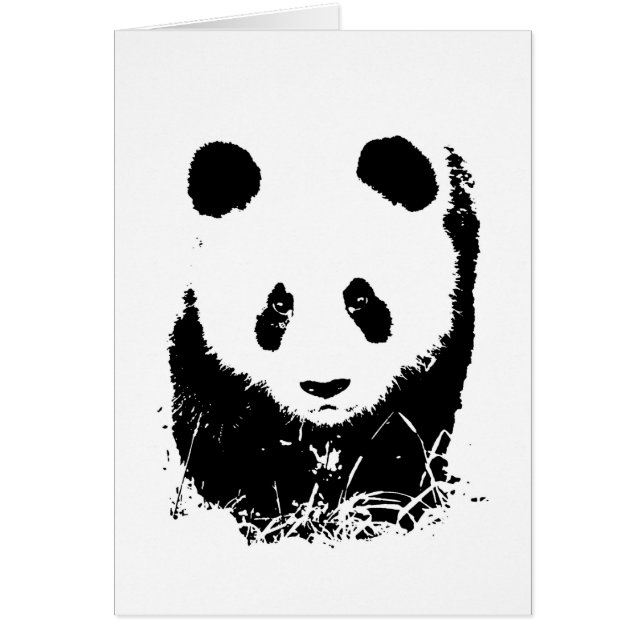 Panda (Voorkant)