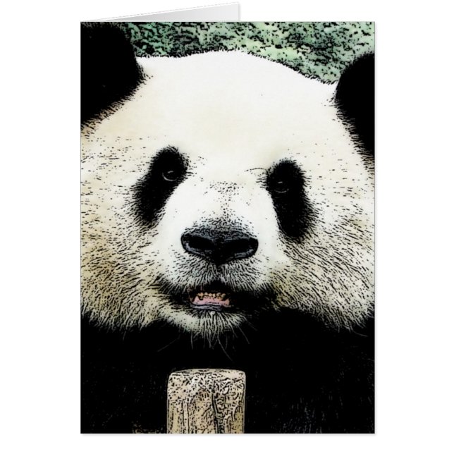 Panda (Voorkant)