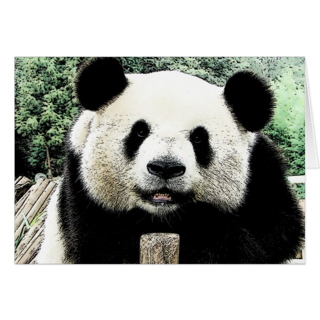 Panda (Voorkant Horizontaal)