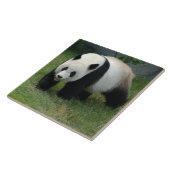 panda114 tegeltje (Zijkant)