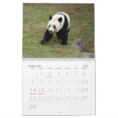 Panda117, Giant Panda Beren Kalender (Feb 2027)