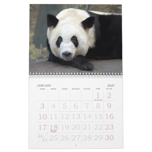Panda117, Giant Panda Beren Kalender (Jan 2027)