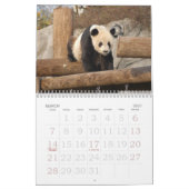 Panda117, Giant Panda Beren Kalender (Mar 2027)