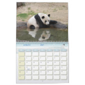 panda118, Giant Panda Beren Kalender (Jan 2027)