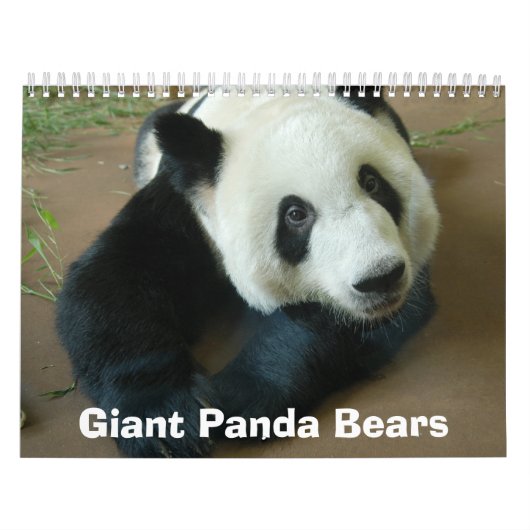 panda118, Giant Panda Beren Kalender (Hoes)