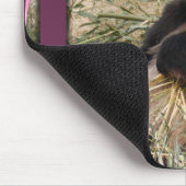 panda1-00098-85x85 muismat (Hoek)