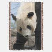 Panda20170506_by_JAMFoto Deken (Voorkant Verticaal)