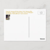 Panda 04 * Panda-Kunst-Postkarte * Panda-Briefkaar Briefkaart (Achterkant)