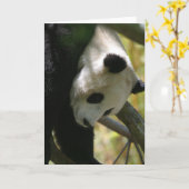 Panda #1 kaart (Gele Bloem)