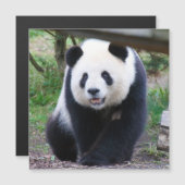 Panda_20190301_by_JAMFoto (Voorkant / Achterkant)