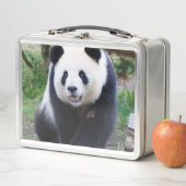 Panda_20190301_by_JAMFoto (In situ)