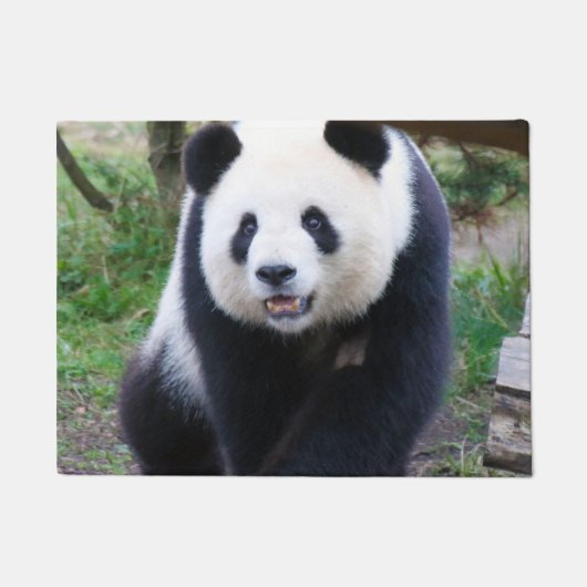 Panda_20190301_by_JAMFoto Deurmat (Voorkant)
