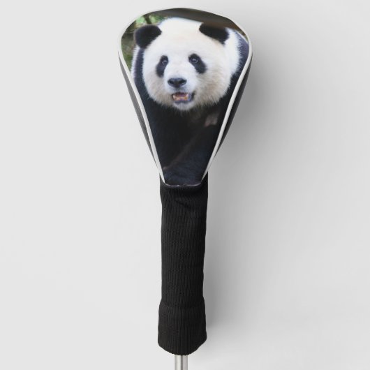 Panda_20190301_by_JAMFoto Golfheadcover (Voorkant)