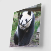Panda_20190301_by_JAMFoto Vierkante Klok (Hoek)