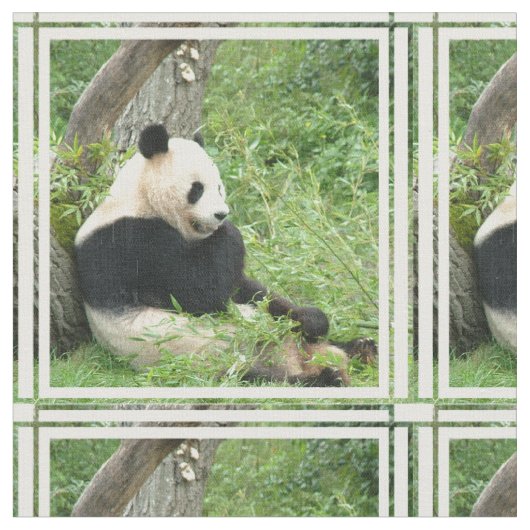 panda-4.jpg stof (Close Up)