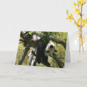 Panda #4 kaart (Gele Bloem)