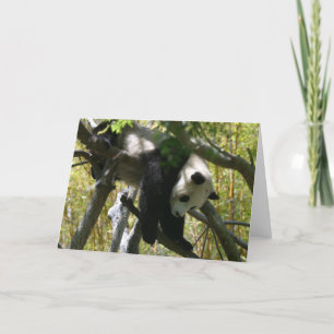 Panda #4 kaart
