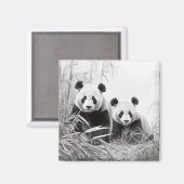 Panda Animal Discovery Wild Natuur Ink Sketch Art Magneet (Voorkant / Achterkant)