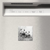 Panda Animal Discovery Wild Natuur Ink Sketch Art Magneet (Insitu (Vaatwasser))